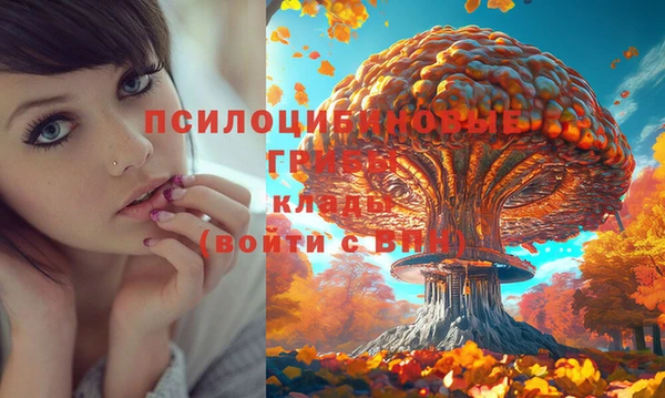2c-b Бородино
