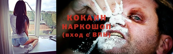 2c-b Бородино