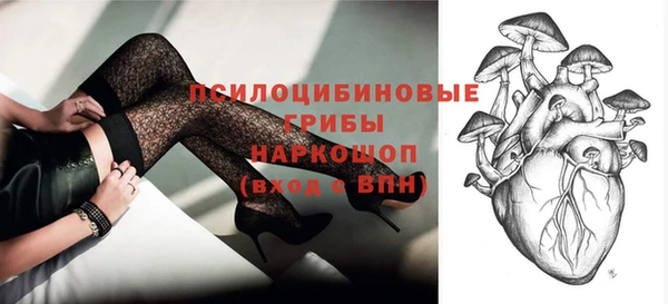 2c-b Бородино