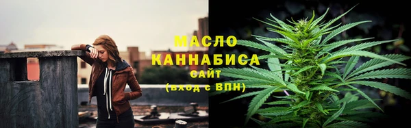 2c-b Бородино