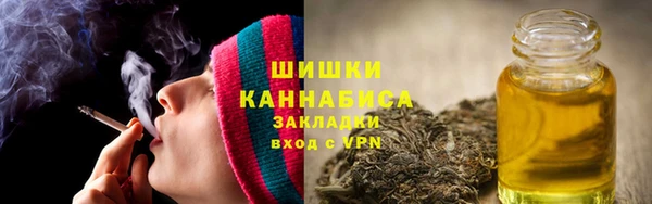 2c-b Бородино
