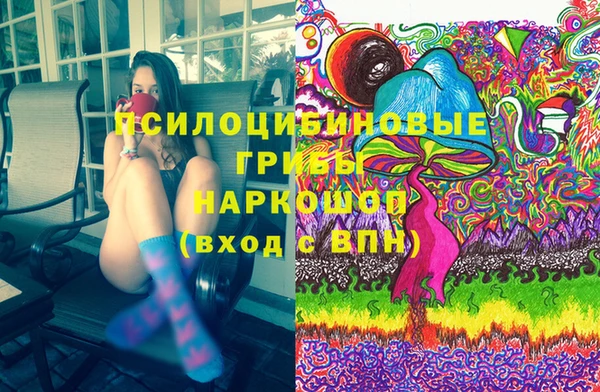 2c-b Бородино